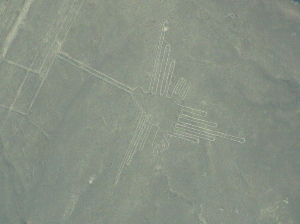 One of the shapes of the Nazca lines