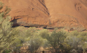 Uluru snake lair